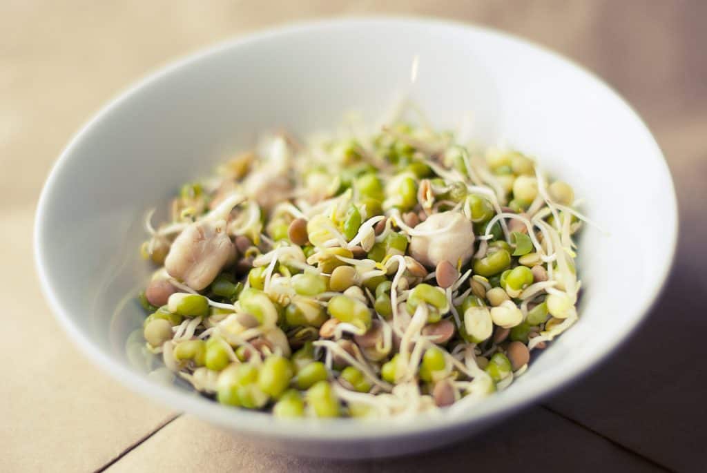 10 Everyday-Foods to Avoid to Protect your Baby in First Trimester Raw sprouts