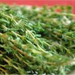 Why should women avoid using thyme during pregnancy