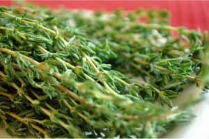 Why should women avoid using thyme during pregnancy