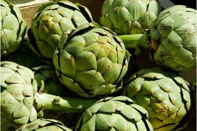 Is eating artichokes during pregnancy good for the baby