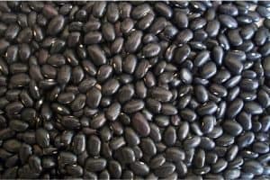What are the nutritional benefits of having black beans during pregnancy