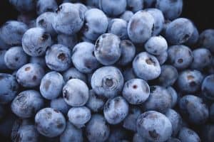 What are the nutritional benefits of having blueberries during pregnancy