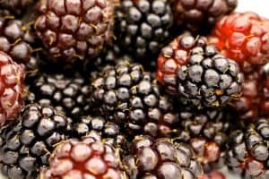 What are the health benefits of eating boysenberries during pregnancy