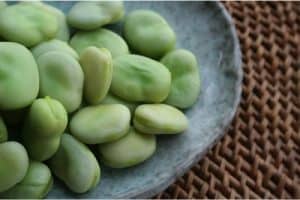 What precaution do I need to take with broad beans during my pregnancy