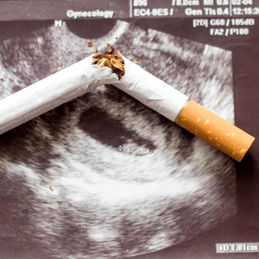 Can pregnant women who smoke hurt their future grandchildren? broken-cigarette-on-a-picture-of-pregnancy-uzi,-smoking-and-pregnancy,-gestation-and-cigarette