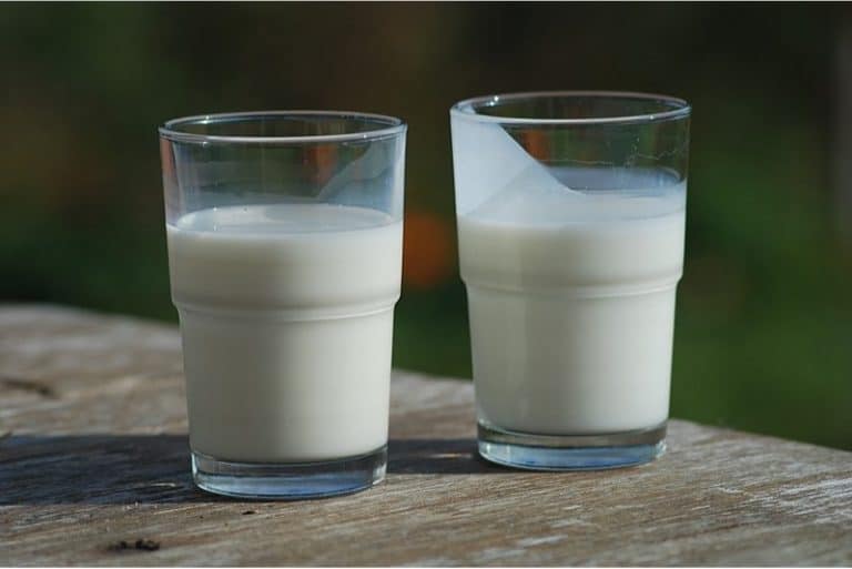 Are there any benefits of having buttermilk during pregnancy||Mint_chhaas
