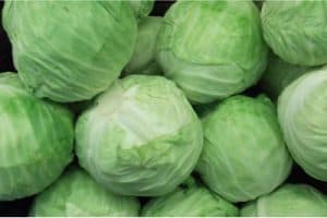 What good does cabbage do for pregnant women