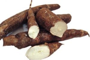 Why should pregnant women not eat cassava