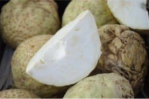 Why is celeriac unsafe for pregnant women