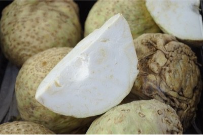 Why is celeriac unsafe for pregnant women