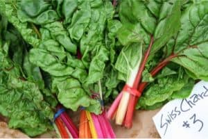 How important is it to have chard when pregnant