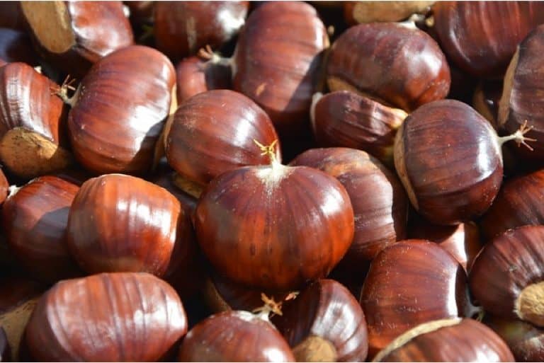 What are the benefits of having chestnuts during pregnancy