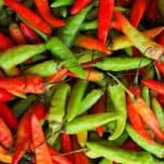 chilli