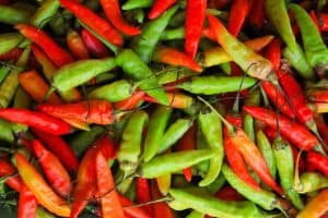 chilli