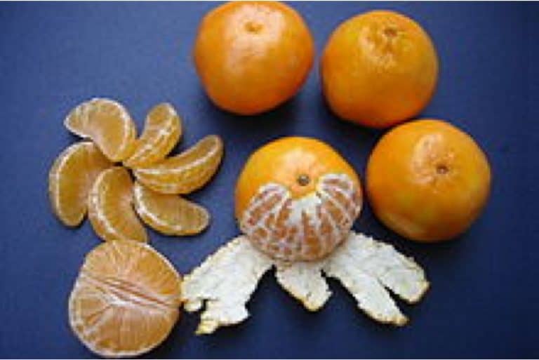 Are there any nutritional benefits of having clementines during pregnancy