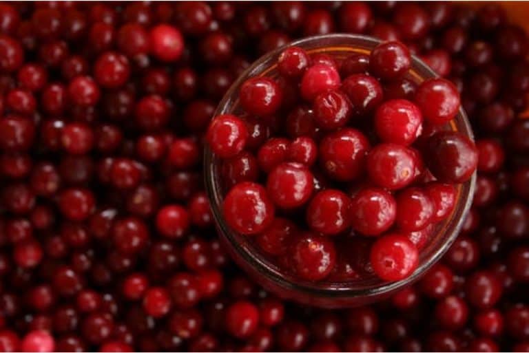 Why should I include cranberries in my diet