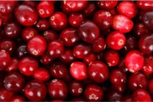 What are the benefits of having cranberry beans during pregnancy