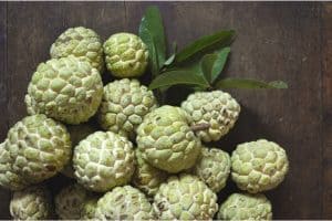 Is it okay to have custard apple (bullock's heart)