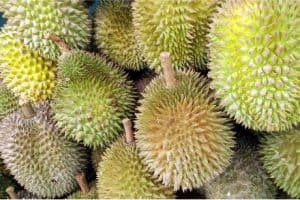 How does durian help in prenatal nutrition during pregnancy