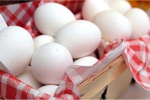What precautions must I take before eating egg during pregnancy