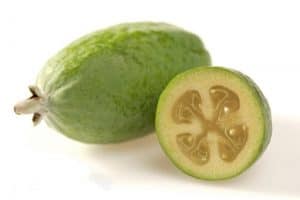 What are the nutritional benefits of having feijoa
