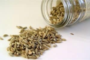 Fennel Seed