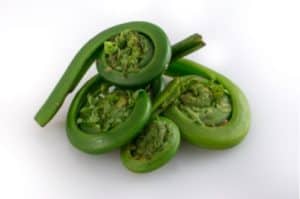 Can I have Fiddlehead ferns during pregnancy