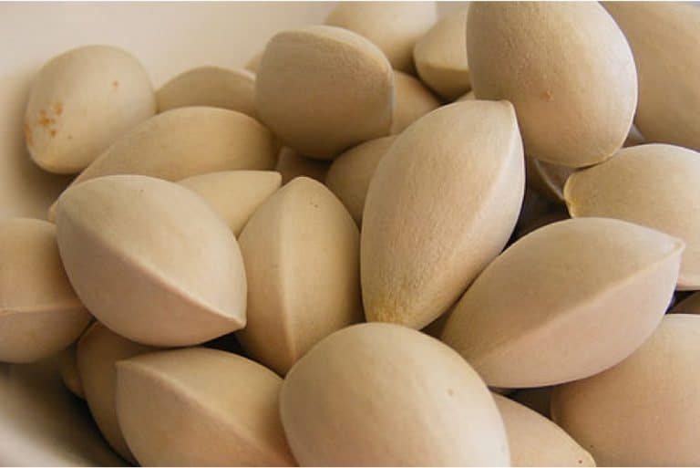 Is it safe to have ginkgo nuts during pregnancy