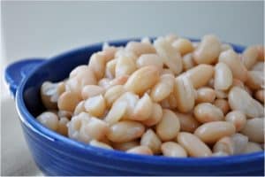 What are the benefits of having great northern beans during pregnancy