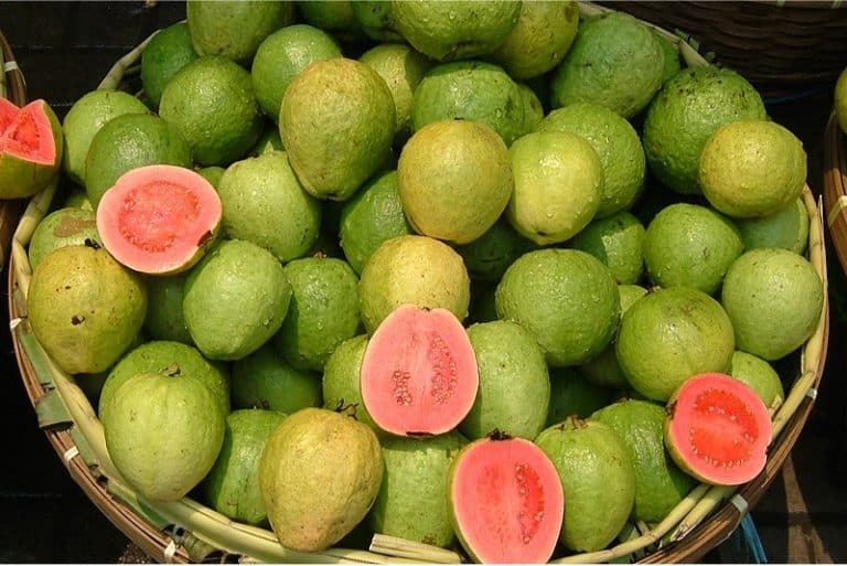 What are the benefits of having guavas during pregnancy