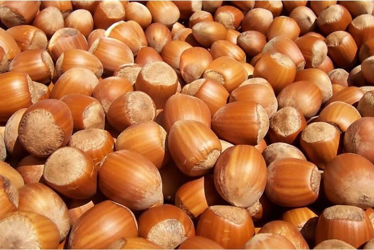 What are the nutritional benefits of having hazelnuts during pregnancy