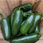 jalapeno-peppers