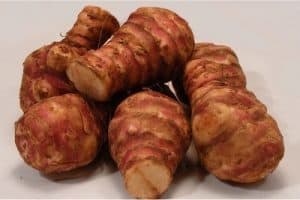 How safe are jerusalem artichokes for pregnant women