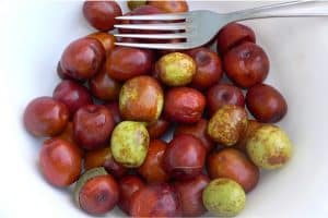 Is it okay to indulge in jujube during pregnancy