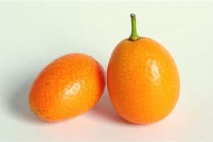 Can I include kumquats in my pregnancy diet