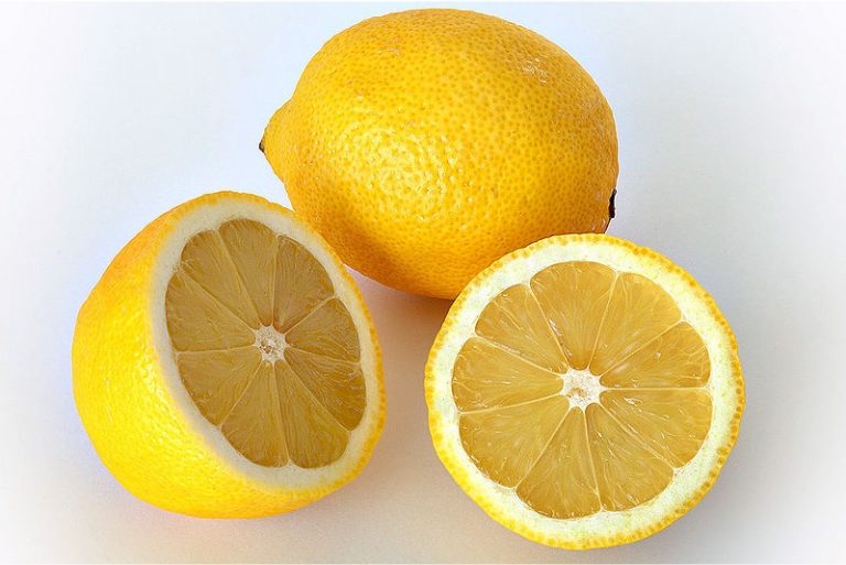 Why is it essential to have lemon during pregnancy