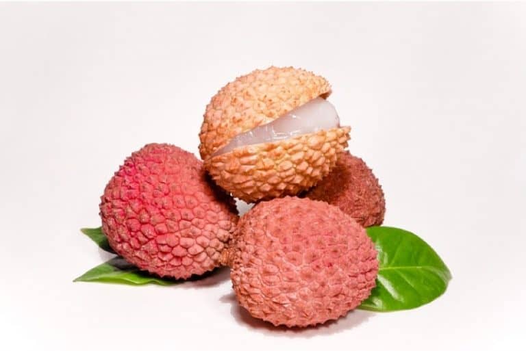 Do I need to be cautious while having litchis during pregnancy