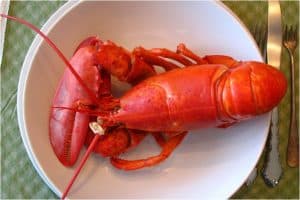 What precautions should I take for eating lobster during pregnancy