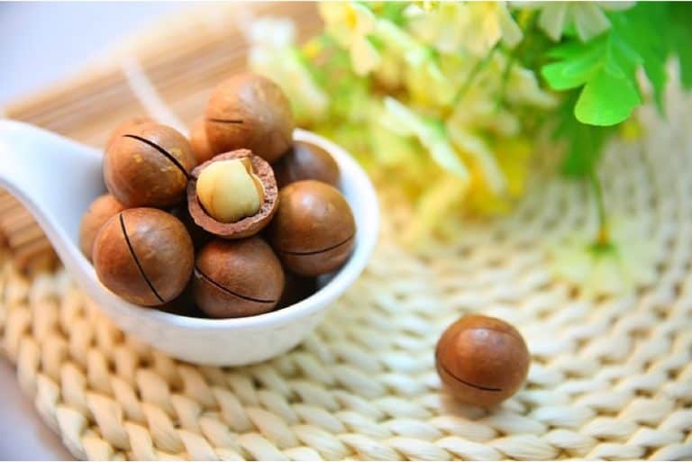 What are the nutritional benefits of having macadamia nuts during pregnancy