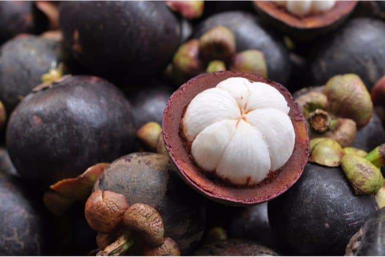 What are the nutritional benefits of having mangosteen during pregnancy