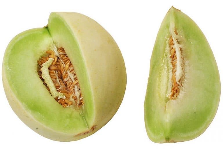 Why are melons honeydew beneficial for me during pregnancy