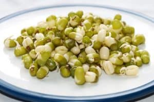 What nutrients does mung bean help pregnant women with