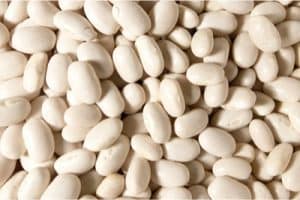 How can navy beans benefit me during my pregnancy