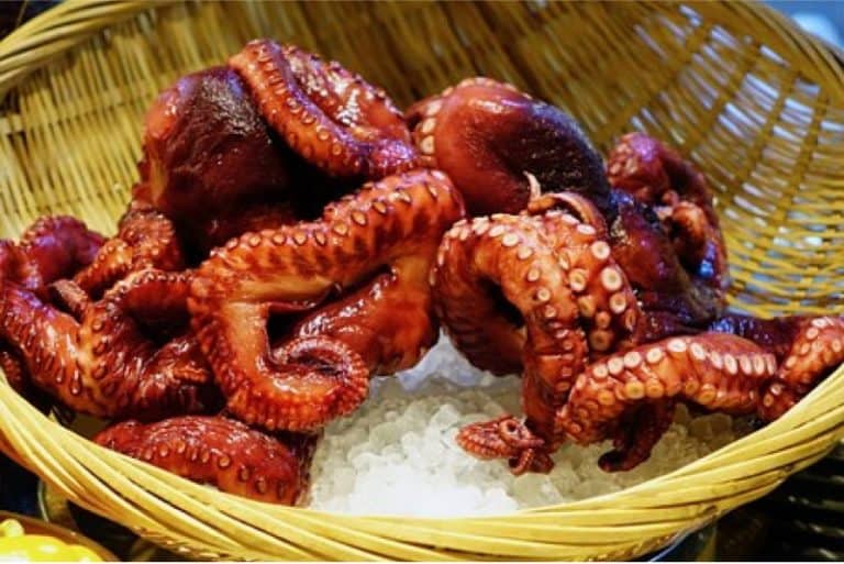 How can I safely eat an octopus while pregnant