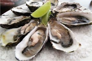 Are oysters better than eating other seafood during pregnancy