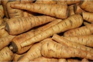 How about including parsnips in my pregnancy diet