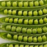 Why should I eat green peas during my pregnancy