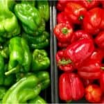 Why is pimento not okay for pregnant women