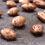 Would you recommend adding pinto beans into my pregnancy diet