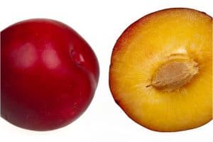 What are the benefits of having plums during pregnancy